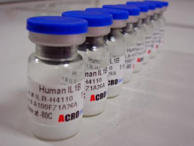 HBV-DNA定量检测