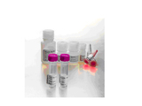 HLA-DNA分型與藥物反應檢測